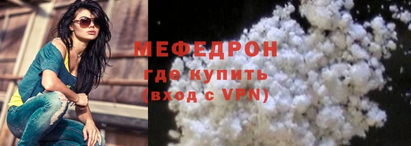 индика Кинешма