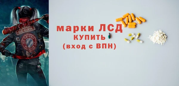 гашик Краснослободск