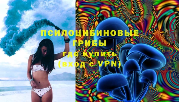 дурь Козловка