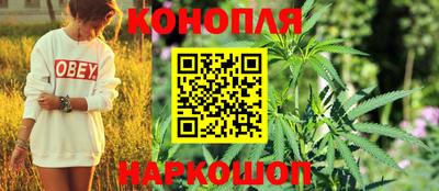 эйфоретик Краснодар