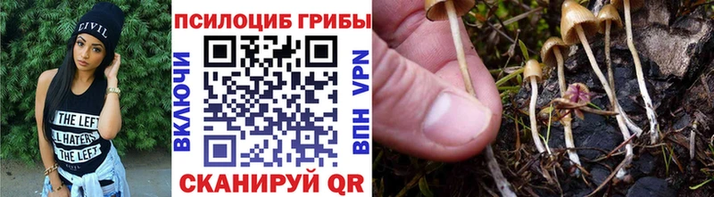 Псилоцибиновые грибы прущие грибы  shop клад  Коммунар 