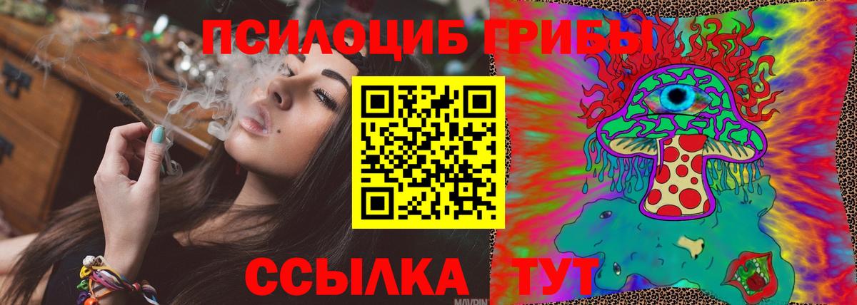 Псилоцибиновые грибы Cubensis Коммунар
