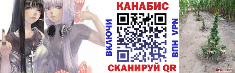 купить  цена  Коммунар  Конопля Ganja 